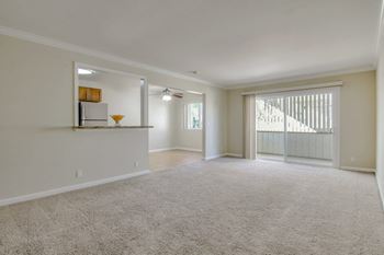 Carpeted living room 